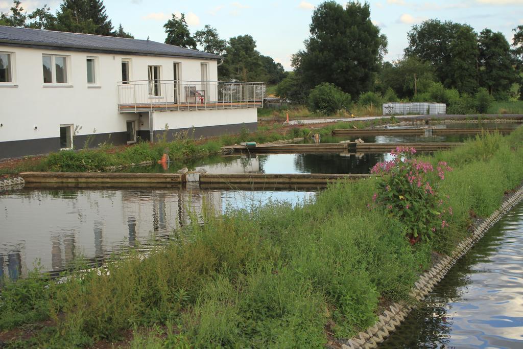 Appartement Ruhige Mit Teichblick *